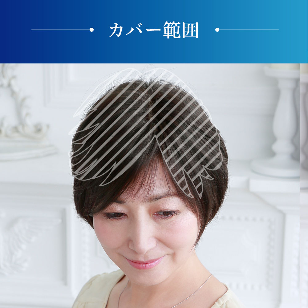 【プリシラ】 耐熱 白髪隠しウィッグ 分け目タイプ ナチュラルブラックハイメッシュ ST-005-2NHM