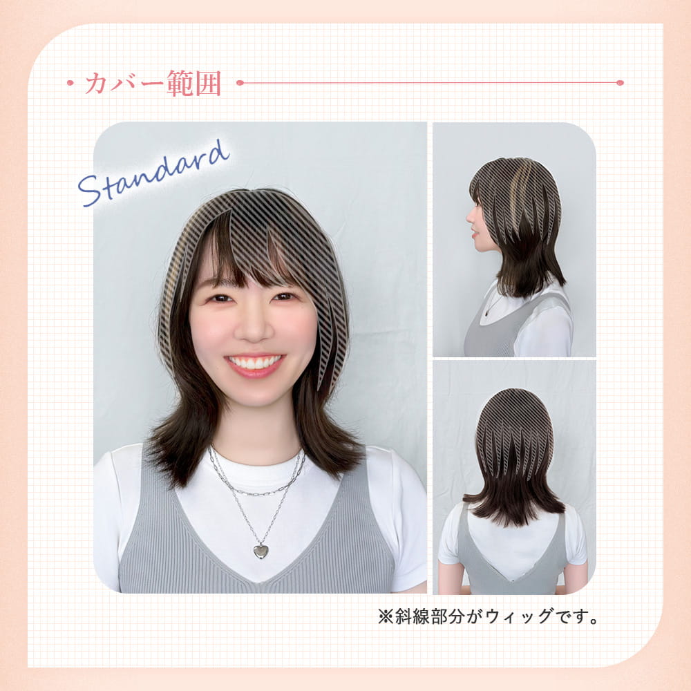 【プリシラ】 ちょびっと白髪かくしウィッグ スタンダードタイプ ダークブラウンハイメッシュ ST-012-3AHM 新タイプ：2WAYネット仕様