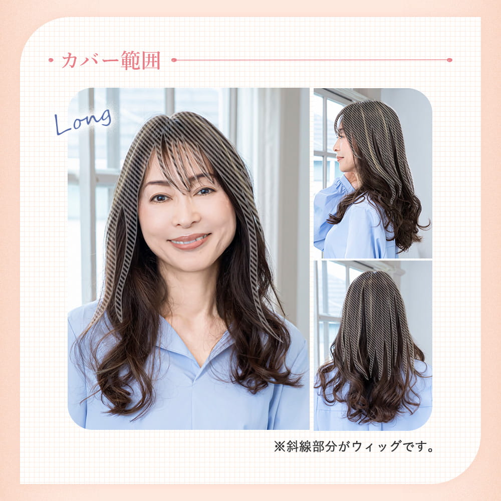 【プリシラ】 ちょびっと白髪かくしウィッグ ロングタイプ ナチュラルブラックハイメッシュ ST-012L-2NHM 新タイプ：2WAYネット仕様