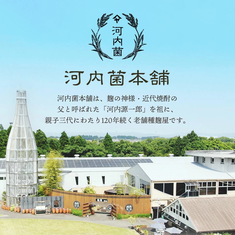 茶麹　30粒