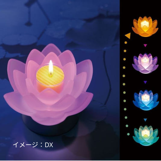 LOTUS GRACE 《スタンダード》