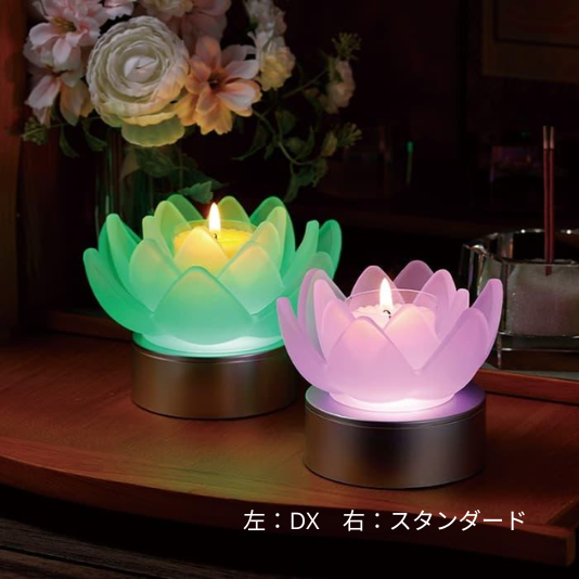 LOTUS GRACE 《スタンダード》