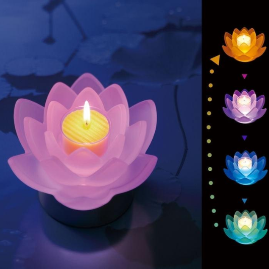 LOTUS GRACE DX