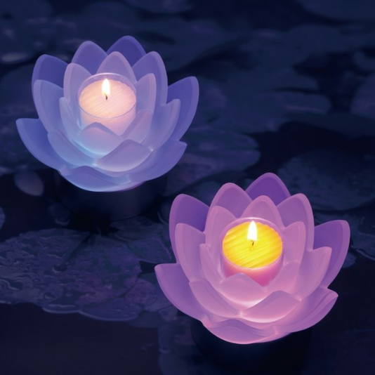 LOTUS GRACE : 2ヶセット DX