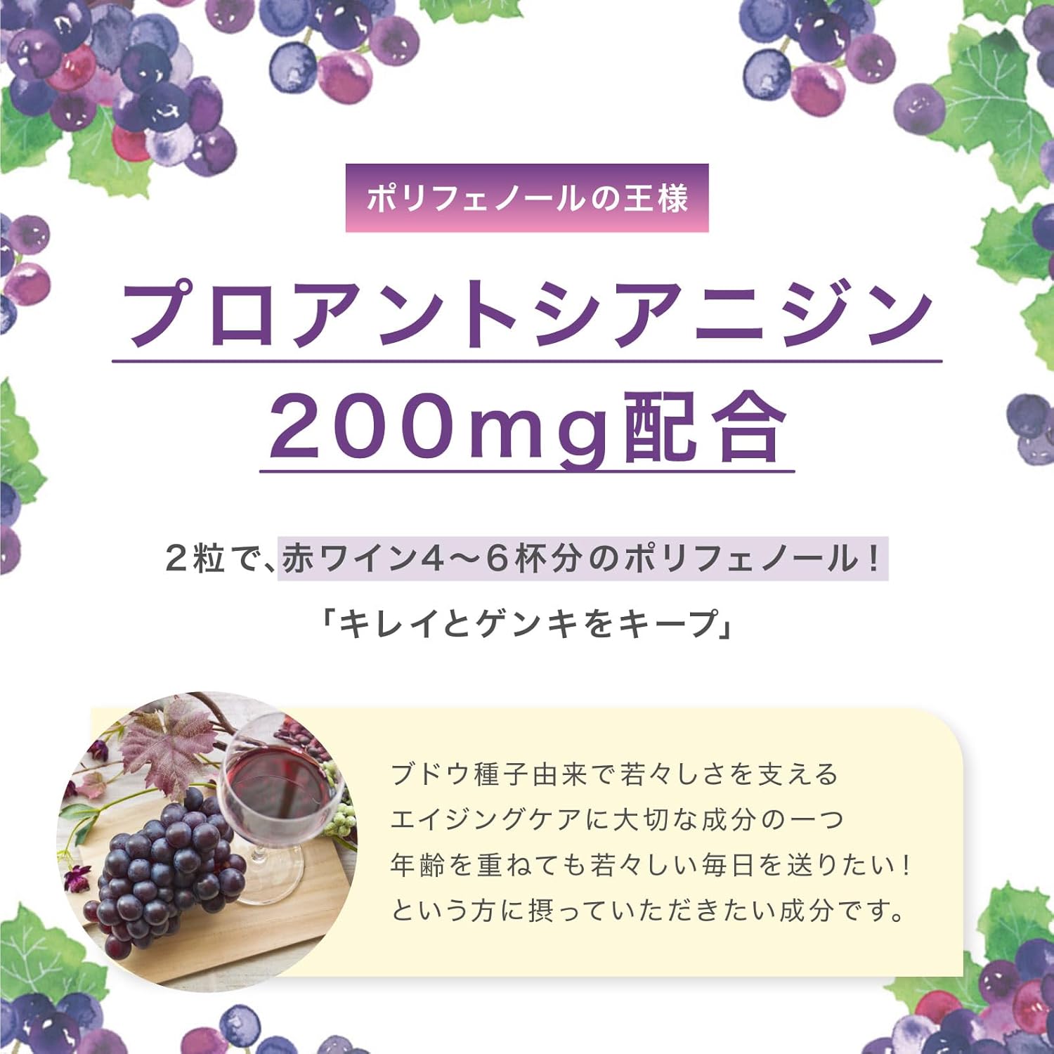 キッコーマン からだ想い ぶどうの恵み プロアントシアニジン 60粒 3袋セット ポリフェノールの王様