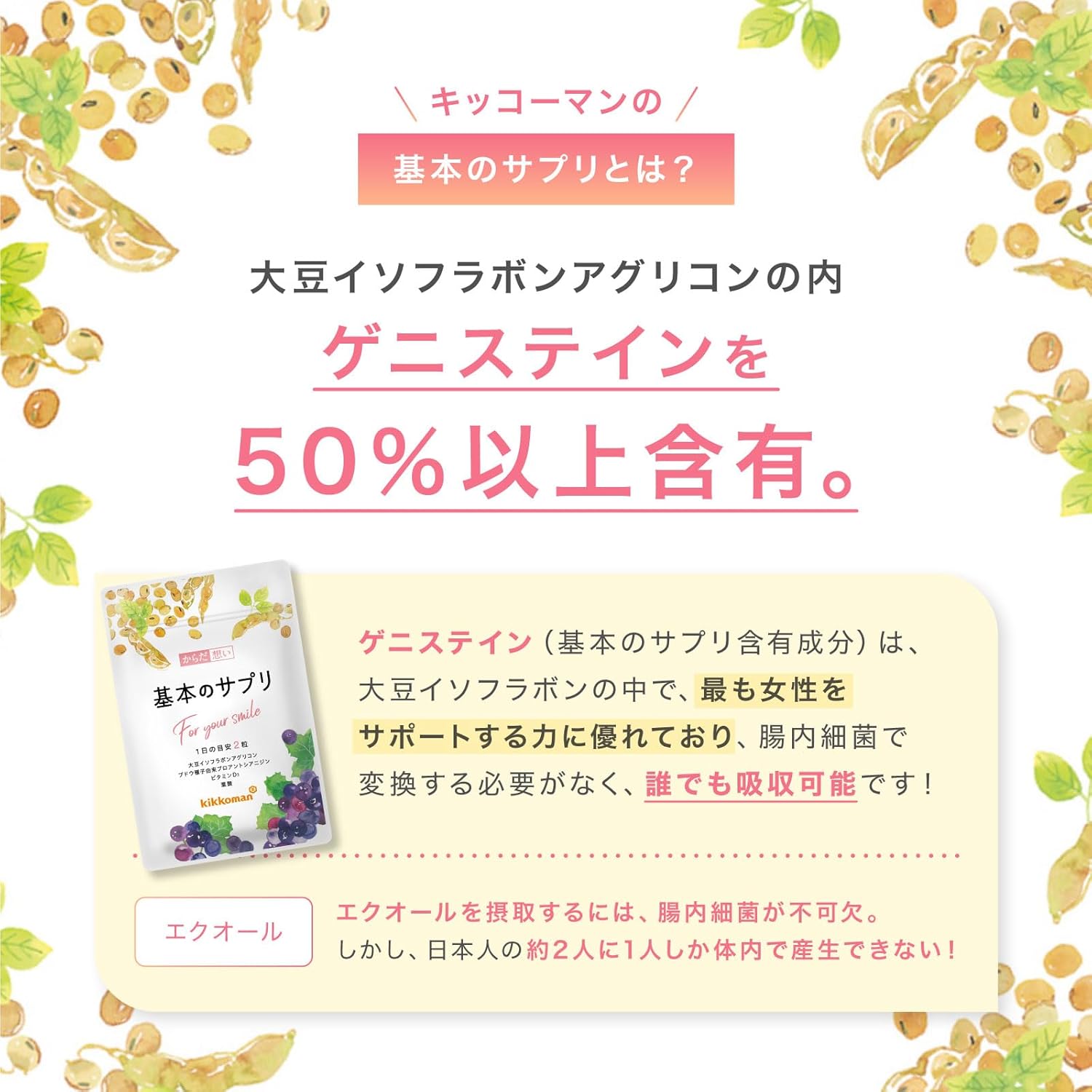 キッコーマン からだ想い 基本のサプリ キッコーマン 基本のサプリ 大豆イソフラボン アグリコン ゲニステイン 1袋
