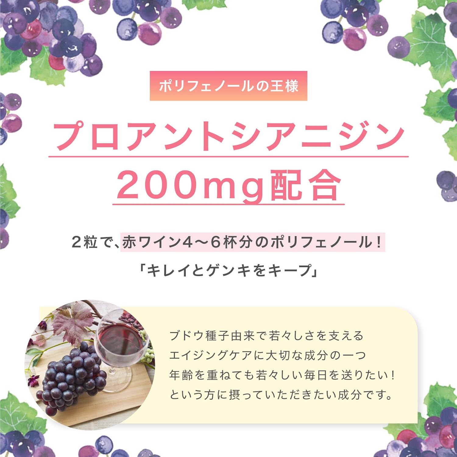 キッコーマン からだ想い 基本のサプリ キッコーマン 基本のサプリ 大豆イソフラボン アグリコン ゲニステイン 1袋