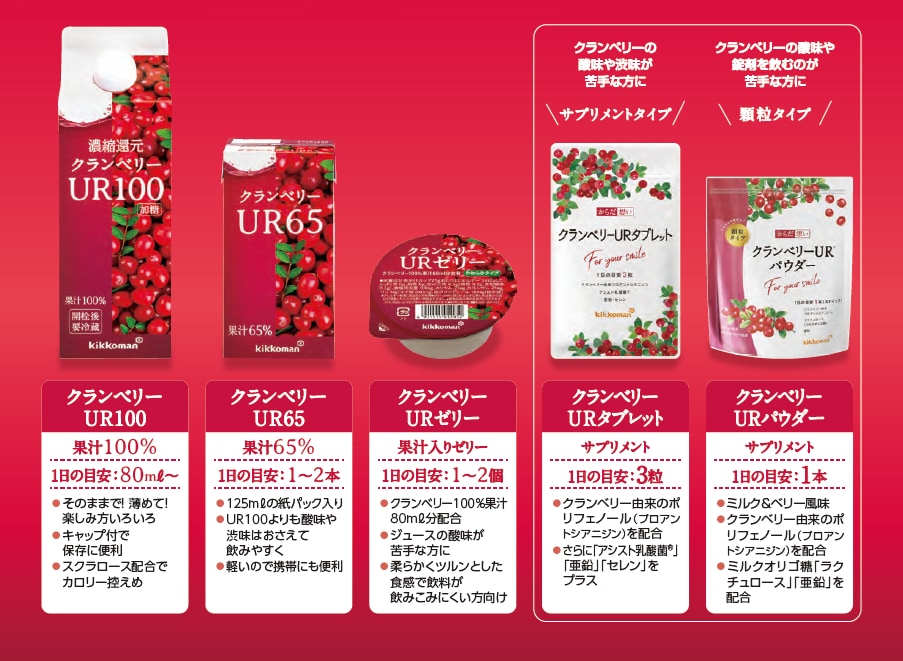 キッコーマン からだ想い クランベリーUR100 500ml×10本