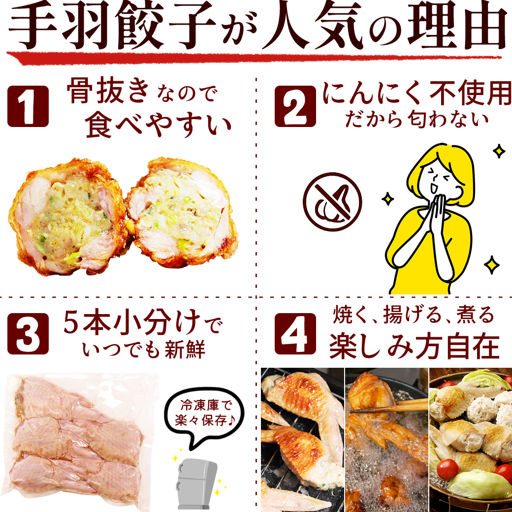 手羽先餃子20本セット