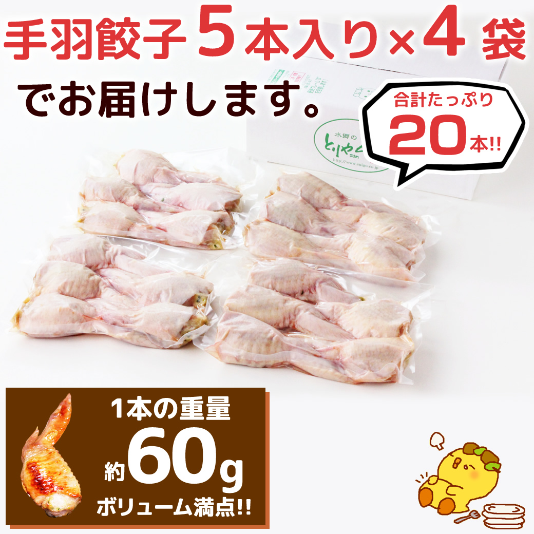手羽先餃子20本セット