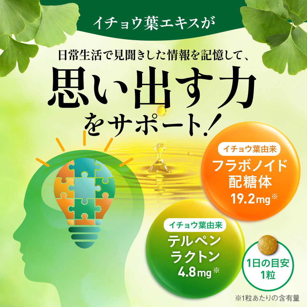 イチョウ葉サプリ 認知ヘルプ 認知機能の一部である記憶力の精度の向上 機能性表示食品