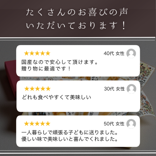 国産そうざいフルセット