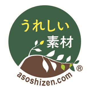 阿蘇自然の恵み総本舗　菊芋専門店