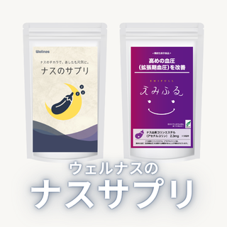 株式会社ウェルナス