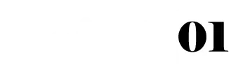 Point 01