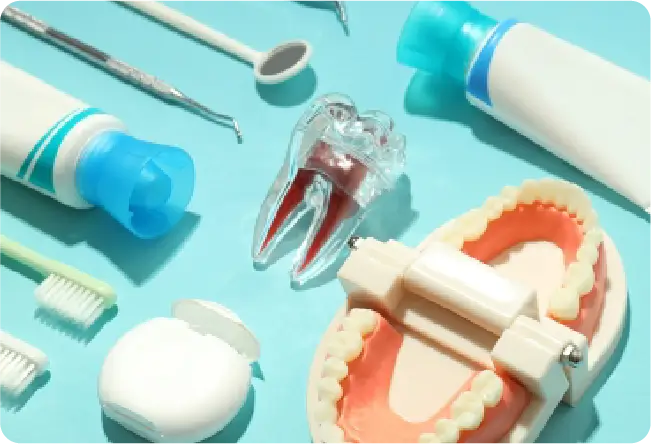 快適さと安全を守る口の健康に配慮する